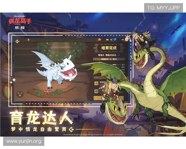 p客国际版免费下载与安装指南，详细步骤让你快速开启游戏之旅