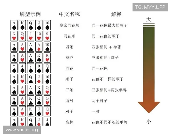 全面解析德州大盲小盲规则让你轻松理解游戏流程与策略